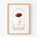 Affiche "L'Amour Véritable" - Herbier coquelicot séché - Format A4