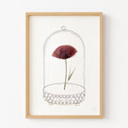 Affiche "L'Amour Véritable" - Herbier coquelicot séché - Format A4