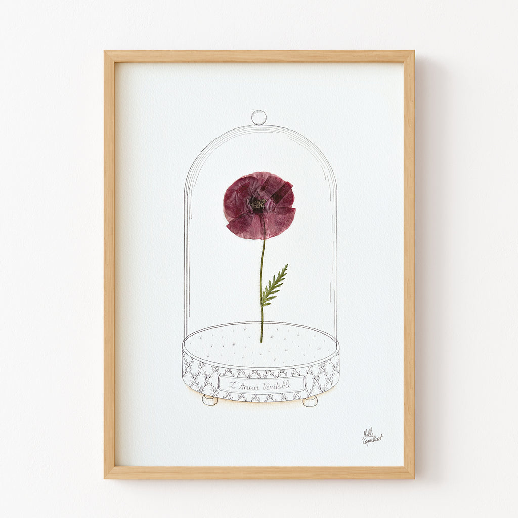 Affiche "L'Amour Véritable" - Herbier coquelicot séché - Format A3