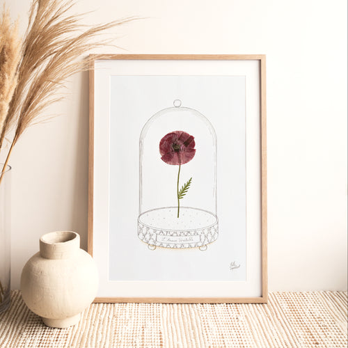 Affiche "L'Amour Véritable" - Herbier coquelicot séché - Format A3