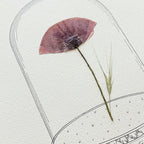 Affiche "L'Amour Véritable" - Herbier coquelicot séché - Format A4