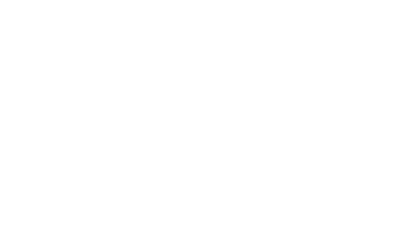 Wild Poppy