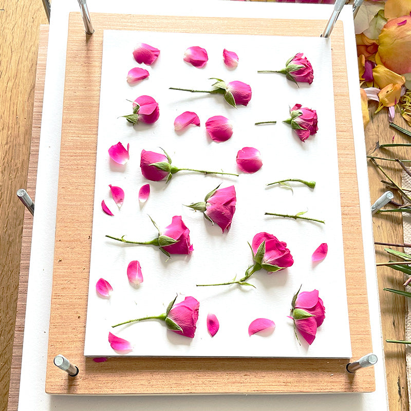 Fleurs de mariage roses soigneusement alignées sur du papier de pressage artisanal pour l'étape de séchage et de préservation du bouquet.